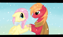 Size: 900x535 | Tagged: safe, artist:marisalle, big macintosh, fluttershy, earth pony, pegasus, pony, clothes, fluttermac, male, scarf, shipping, stallion, straight