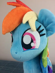 Size: 2448x3264 | Tagged: safe, artist:plushwaifus, artist:qtpony, derpibooru import, rainbow dash, pony, irl, photo, plushie, solo