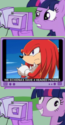 Size: 562x1078 | Tagged: safe, derpibooru import, twilight sparkle, exploitable meme, knuckles the echidna, sonic the hedgehog (series), tv meme, wat