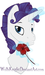 Size: 692x1155 | Tagged: safe, artist:wolfsknight, elusive, rarity, pony, unicorn, flower, magic, rule 63, solo