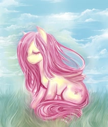 Size: 500x590 | Tagged: safe, artist:na-no-chan, fluttershy, pegasus, pony, cloud, eyes closed, female, grass, mare, sitting, sky, solo