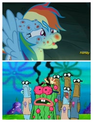 Size: 3106x4096 | Tagged: safe, derpibooru import, screencap, rainbow dash, pegasus, pony, campfire tales, comparison, discovery family logo, fly-der bite, i'm your biggest fanatic, image macro, kevin the sea cucumber, meme, spongebob squarepants