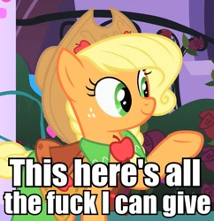 Size: 581x600 | Tagged: safe, edit, edited screencap, screencap, applejack, earth pony, pony, the best night ever, caption, clothes, dress, gala dress, image macro, look at all the fucks i give, no fucks, reaction image, vulgar