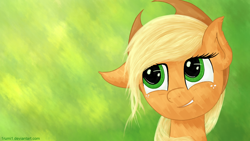 Size: 1920x1080 | Tagged: safe, artist:1rumi1, applejack, earth pony, pony, solo