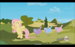 Size: 1024x640 | Tagged: safe, screencap, fluttershy, pegasus, pony, the crystal empire, female, mare, youtube caption