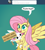 Size: 1000x1100 | Tagged: safe, artist:ponett, fluttershy, pegasus, pony, ask, president, sign, tumblr