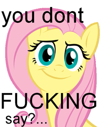 Size: 465x561 | Tagged: safe, fluttershy, pegasus, pony, flutterbitch, image macro, meme, vulgar