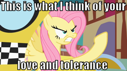 Size: 640x360 | Tagged: safe, fluttershy, pegasus, pony, angry, female, image macro, mare, taxi