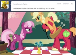 Size: 641x462 | Tagged: safe, artist:capnpea, edit, edited screencap, screencap, applejack, big macintosh, cheerilee, earth pony, pony, hearts and hooves day (episode), cheerimac, fimbriae, hearts and hooves day, male, shipping, stallion, straight, wat