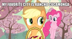 Size: 637x347 | Tagged: safe, applejack, pinkie pie, earth pony, pony, duo, female, funny words, image macro, mare