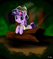 Size: 1024x1138 | Tagged: safe, artist:c-cain, derpibooru import, twilight sparkle, clothes, forest, hat, log, pith helmet