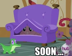 Size: 663x521 | Tagged: safe, screencap, gummy, pinkie pie, earth pony, pony, just for sidekicks, image macro, sofa, soon