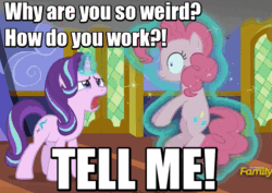 Size: 639x453 | Tagged: safe, edit, edited screencap, screencap, pinkie pie, starlight glimmer, earth pony, pony, unicorn, every little thing she does, animated, caption, cartoon physics, confused, discovery family logo, female, frown, funny, gif, glowing horn, image macro, levitation, magic, mare, meme, open mouth, pinkie being pinkie, ponk, shaking, smiling, smoke, talking, telekinesis, text, twilight's castle, wide eyes