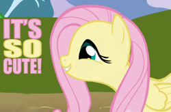 Size: 682x447 | Tagged: safe, artist:ilovemyipod098, edit, fluttershy, pegasus, pony, cute, image macro