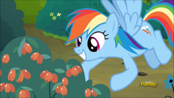 Size: 1920x1080 | Tagged: safe, derpibooru import, screencap, rainbow dash, pegasus, pony, campfire tales, berries, bush, discovery family logo, female, mare, poisonous, solo