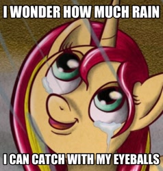 Size: 1494x1570 | Tagged: safe, artist:hengebellika, edit, sunset shimmer, pony, crying, image macro, meme