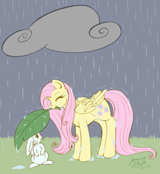 Size: 675x735 | Tagged: safe, artist:jenasu, angel bunny, fluttershy, pegasus, pony, female, mare, rain