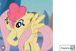 Size: 960x640 | Tagged: safe, fluttershy, pinkie pie, earth pony, pegasus, pony, disguise, female, mare, nightmare fuel