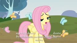 Size: 1920x1080 | Tagged: safe, screencap, fluttershy, pegasus, pony, too many pinkie pies, female, mare, youtube caption