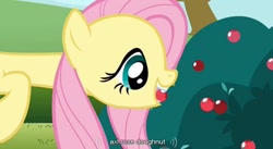 Size: 852x468 | Tagged: safe, screencap, fluttershy, pegasus, pony, too many pinkie pies, axl rose, donut, mouth hold, youtube caption