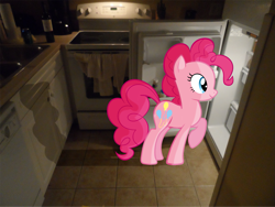 Size: 1827x1371 | Tagged: safe, artist:sketchpadjacob, pinkie pie, earth pony, pony, dishwasher, oven, ponies in real life, refrigerator, shadow, vector