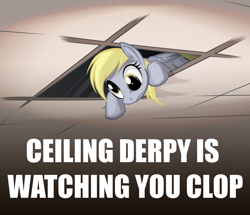 Size: 1220x1050 | Tagged: safe, artist:mysticalpha, edit, derpy hooves, pegasus, pony, ceiling pony, female, image macro, mare, meme