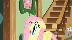 Size: 1146x644 | Tagged: safe, screencap, fluttershy, pegasus, pony, a bird in the hoof, ei, faic, great moments in animation, hub logo, smear frame