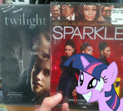 Size: 500x450 | Tagged: safe, derpibooru import, edit, twilight sparkle, photo, pun, sparkle, twilight (series)