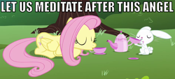 Size: 948x427 | Tagged: safe, angel bunny, fluttershy, pegasus, pony, female, image macro, mare, tea