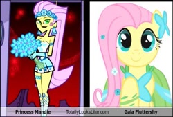 Size: 401x271 | Tagged: safe, fluttershy, pegasus, pony, comparison, female, mare, pink mane, the fairly oddparents, yellow coat