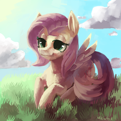 Size: 1000x1000 | Tagged: safe, artist:mewball, fluttershy, pegasus, pony, female, mare, pink mane, solo, yellow coat