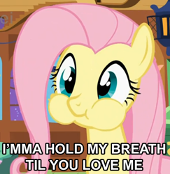 Size: 668x688 | Tagged: safe, fluttershy, pegasus, pony, bronybait, caption, cute, holding breath, puffy cheeks, shyabetes