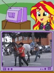 Size: 500x680 | Tagged: safe, sunset shimmer, horse, human, equestria girls, animated, bucking, exploitable meme, horses doing horse things, irl horse, kicking, meme, obligatory pony, rekt, schadenfreude, this ended in pain, too dumb to live, tv meme, video at source, youtube link