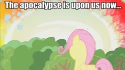 Size: 853x480 | Tagged: safe, edit, edited screencap, screencap, fluttershy, pegasus, pony, the cutie mark chronicles, caption, female, filly, filly fluttershy, image macro, solo, sonic rainboom, younger