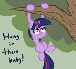 Size: 770x700 | Tagged: safe, artist:tess, derpibooru import, twilight sparkle, hang in there, hanging, parody, solo, tree, twilight cat