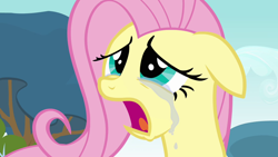 Size: 1280x720 | Tagged: safe, screencap, fluttershy, pegasus, pony, hurricane fluttershy, crying, female, mare