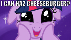 Size: 640x358 | Tagged: safe, derpibooru import, twilight sparkle, cat, floppy ears, hilarious in hindsight, image macro, twilight burgkle, twilight cat