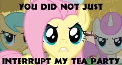 Size: 500x265 | Tagged: safe, screencap, fluttershy, sunshower raindrops, twinkleshine, pegasus, pony, too many pinkie pies, tea, tea party