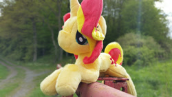 Size: 2000x1125 | Tagged: safe, artist:owlisun, sunset shimmer, pony, unicorn, irl, photo, plushie