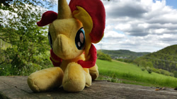 Size: 2000x1125 | Tagged: safe, artist:owlisun, sunset shimmer, pony, unicorn, irl, photo, plushie