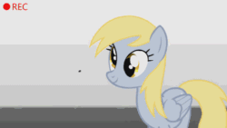 Size: 500x281 | Tagged: safe, artist:ralek, derpy hooves, fly, pegasus, pony, animated, camera, camera shot, cute, derpabetes, female, mare, record, static, youtube link