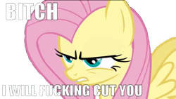 Size: 639x361 | Tagged: safe, fluttershy, pegasus, pony, female, image macro, mare, pink mane, vulgar, yellow coat