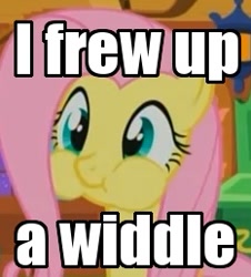 Size: 233x258 | Tagged: safe, fluttershy, pegasus, pony, female, i frew up, image macro, mare, pink mane, yellow coat