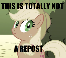 Size: 500x442 | Tagged: safe, applejack, earth pony, pony, female, image macro, liar face, liarjack, mare