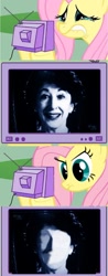 Size: 799x2048 | Tagged: safe, fluttershy, pegasus, pony, stare master, doctor who, exploitable meme, meme, photo, stare, television, the wire, tv meme