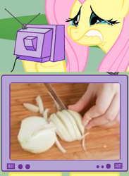 Size: 563x771 | Tagged: safe, fluttershy, pegasus, pony, crying, exploitable meme, fluttercry, food, meme, onion, photo, tv meme