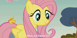 Size: 500x250 | Tagged: safe, screencap, fluttershy, butterfly, pegasus, pony, too many pinkie pies, animated, cute, eyes closed, floppy ears, image macro, raised hoof, shyabetes, smiling, solo, talking