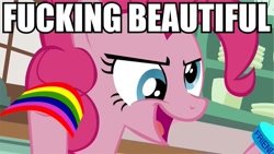 Size: 667x375 | Tagged: safe, pinkie pie, earth pony, pony, derp, epic pie time, image macro, reaction image, vulgar