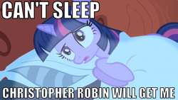 Size: 1010x568 | Tagged: safe, derpibooru import, edit, edited screencap, screencap, twilight sparkle, friendship is magic, can't sleep, christopher robin, image macro, solo, wat, winnie the pooh home run derby