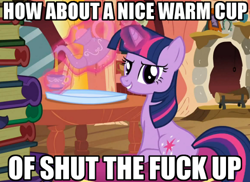 Size: 500x364 | Tagged: safe, derpibooru import, twilight sparkle, spike at your service, image macro, stfu, stfu cup, vulgar